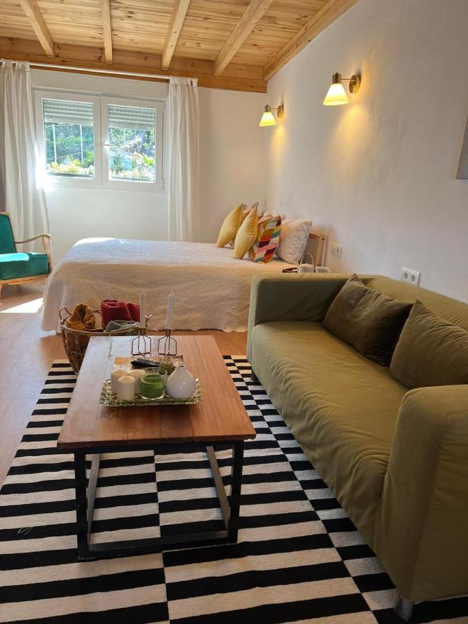 Casa Chano Estudio Confortable Tenerife Icod De Los Vinos Bagian luar foto