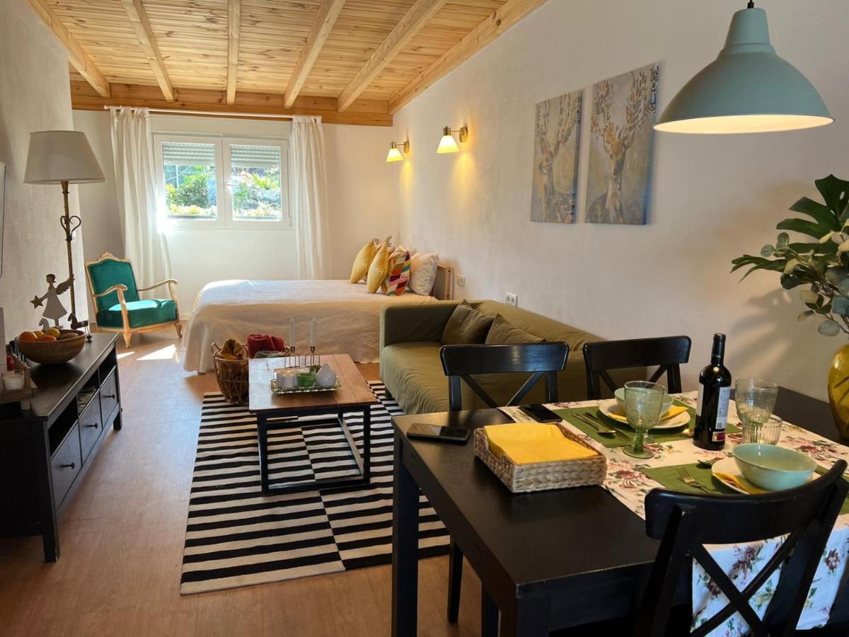 Casa Chano Estudio Confortable Tenerife Icod De Los Vinos Bagian luar foto