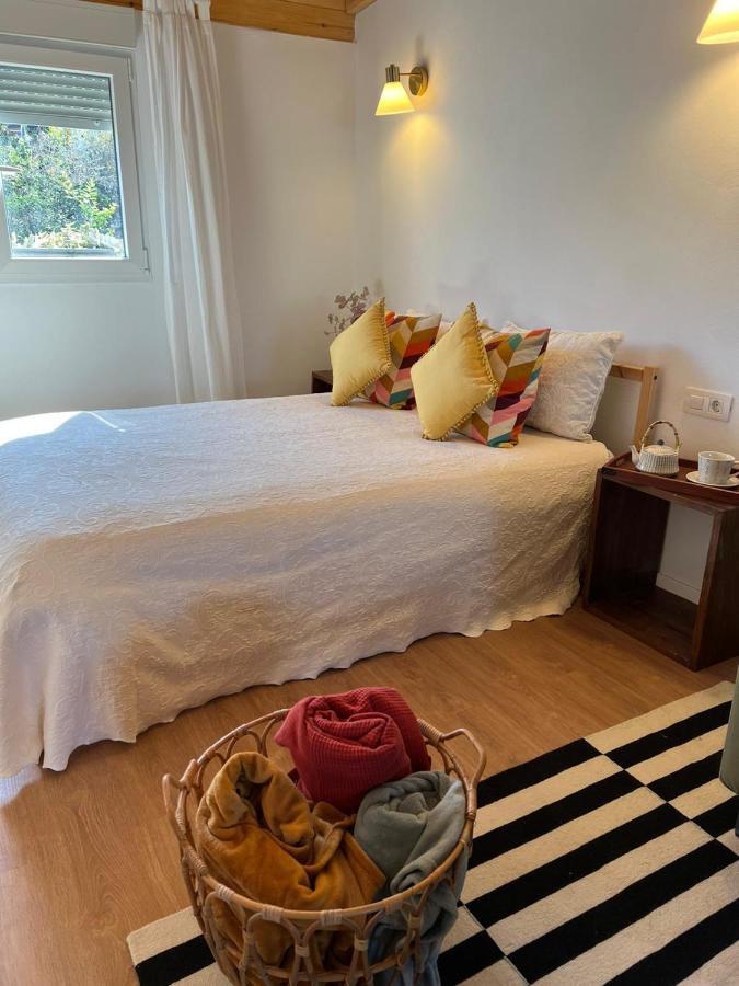 Casa Chano Estudio Confortable Tenerife Icod De Los Vinos Bagian luar foto