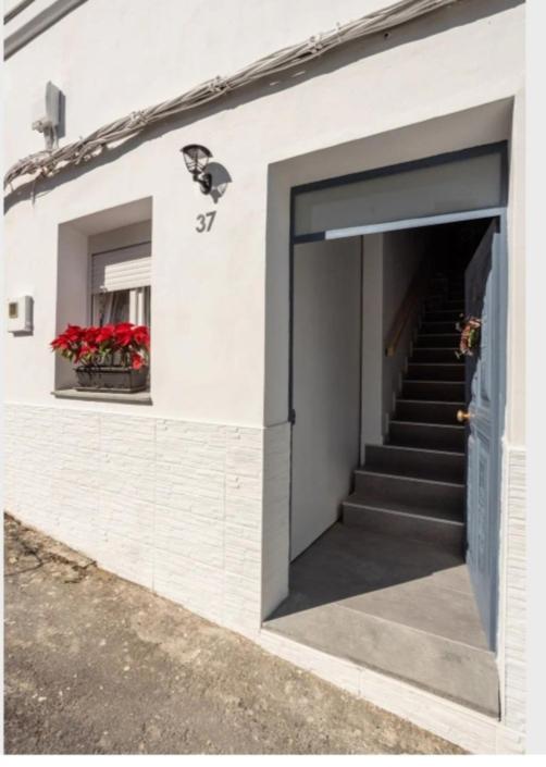 Casa Chano Estudio Confortable Tenerife Icod De Los Vinos Bagian luar foto